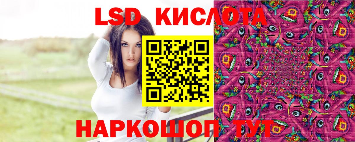 Марки 25I-NBOMe  Вход с VPN  Лесной  Марки NBOMe 1500мкг  Марки NBOMe 1500мкг 