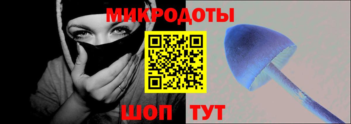 Лесной  Галлюциногенные грибы прущие грибы  Вход с VPN 